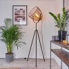 WESA Floor Lamp Aged nickel, 1-light source
