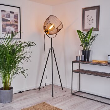 WESA Floor Lamp Aged nickel, 1-light source