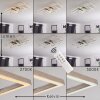 CHEKA Ceiling Light LED aluminium, 4-light sources, Remote control