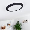 SIGUNA Ceiling Light LED black, 1-light source
