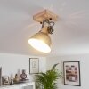 ORNY Ceiling Light brown, galvanized, 1-light source