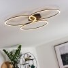 JOHSA Ceiling Light LED black, 3-light sources