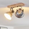 ORNY Ceiling Light brown, galvanized, 2-light sources