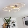 JOHSA Ceiling Light LED matt nickel, silver, 3-light sources