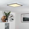 FARC Ceiling Light LED black, white, 1-light source, Remote control