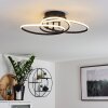 SUCRE Ceiling Light LED black, 4-light sources