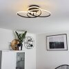 SUCRE Ceiling Light LED black, 4-light sources