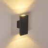 ROSEAU Wall Light LED anthracite, 1-light source