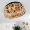 MONGOLEI Ceiling Light black, 1-light source