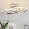 SUCRE Ceiling Light LED brushed steel, 4-light sources