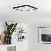 SIGUNA Ceiling Light LED black, white, 1-light source