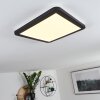 SIGUNA Ceiling Light LED black, white, 1-light source