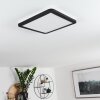 SIGUNA Ceiling Light LED black, white, 1-light source