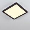 SIGUNA Ceiling Light LED black, white, 1-light source