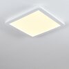 SIGUNA Ceiling Light LED white, 1-light source