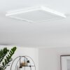 SIGUNA Ceiling Light LED white, 1-light source