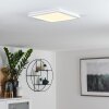 SIGUNA Ceiling Light LED white, 1-light source