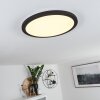 SIGUNA Ceiling Light LED black, white, 1-light source
