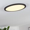 SIGUNA Ceiling Light LED black, white, 1-light source