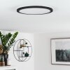 SIGUNA Ceiling Light LED black, white, 1-light source