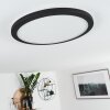 SIGUNA Ceiling Light LED black, white, 1-light source