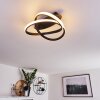COCHATO Ceiling Light LED black, white, 2-light sources