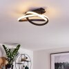 COCHATO Ceiling Light LED black, white, 2-light sources