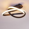 COCHATO Ceiling Light LED black, white, 2-light sources