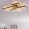 GHANA Ceiling Light LED black, 3-light sources, Remote control, Colour changer