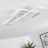 GHANA Ceiling Light LED white, 4-light sources, Remote control, Colour changer