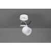 Trio TAURUS Ceiling Light LED white, 2-light sources