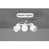 Trio TAURUS Ceiling Light LED white, 6-light sources