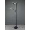 Trio BARRIE Floor Lamp LED black, 2-light sources