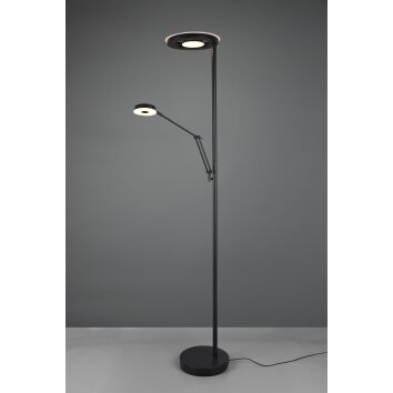 Trio BARRIE Floor Lamp LED black, 2-light sources