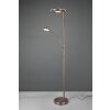Trio BARRIE Floor Lamp LED antique brass, 2-light sources