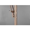 Trio BARRIE Floor Lamp LED antique brass, 2-light sources