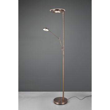 Trio BARRIE Floor Lamp LED antique brass, 2-light sources