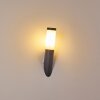 GABORONE Outdoor Wall Light anthracite, 1-light source