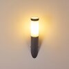 GABORONE Outdoor Wall Light anthracite, 1-light source