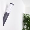 GABORONE Outdoor Wall Light anthracite, 1-light source