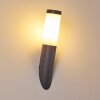 GABORONE Outdoor Wall Light anthracite, 1-light source