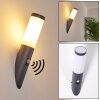 GABORONE Outdoor Wall Light anthracite, 1-light source, Motion sensor