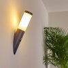 GABORONE Outdoor Wall Light anthracite, 1-light source, Motion sensor