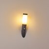 GABORONE Outdoor Wall Light anthracite, 1-light source, Motion sensor