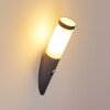 GABORONE Outdoor Wall Light anthracite, 1-light source, Motion sensor