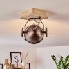 HERFORD Ceiling Light Light wood, copper, 1-light source