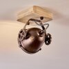 HERFORD Ceiling Light Light wood, copper, 1-light source