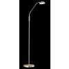 Fischer & Honsel  POOL TW Floor Lamp LED brass, 1-light source, Motion sensor
