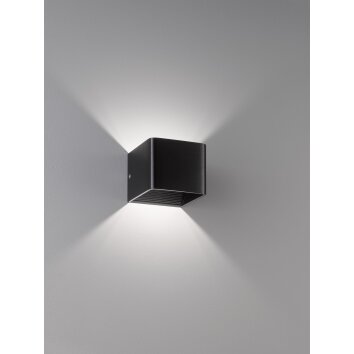 Fischer & Honsel  DAN Wall Light LED black, 1-light source