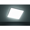 Fischer & Honsel  ALDO Ceiling Light LED white, 1-light source